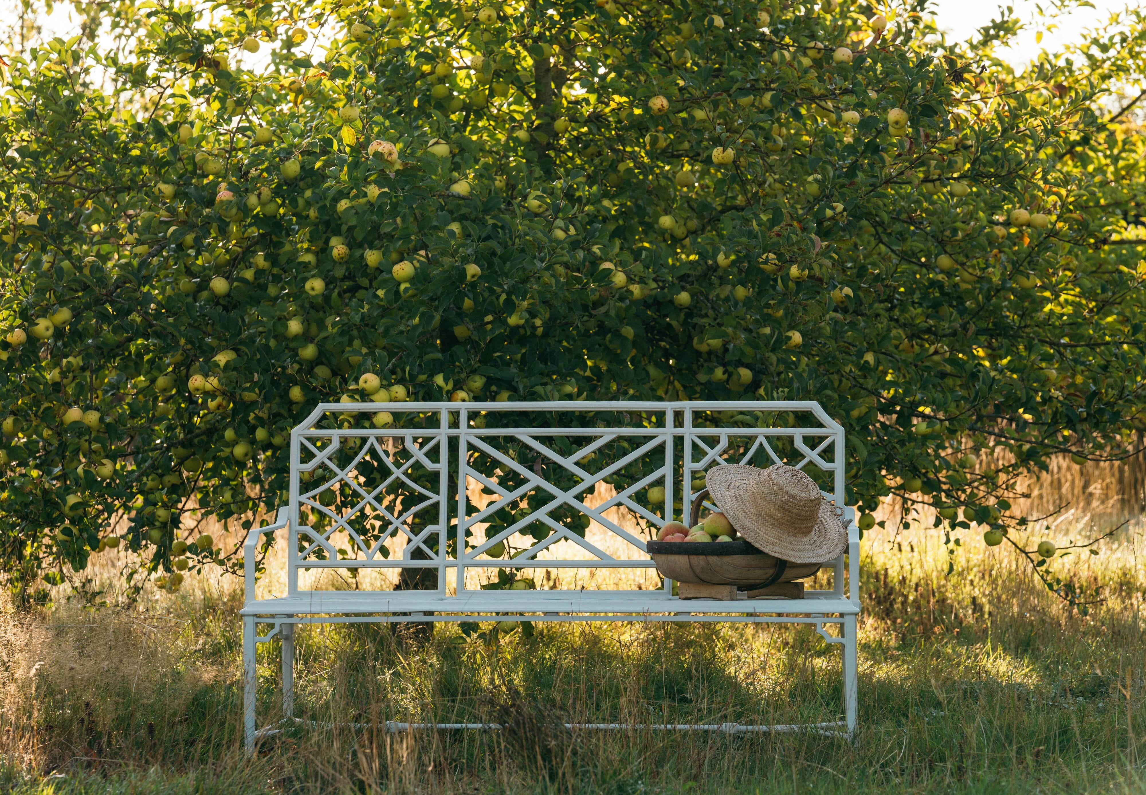 rissington-bench-triple-l3