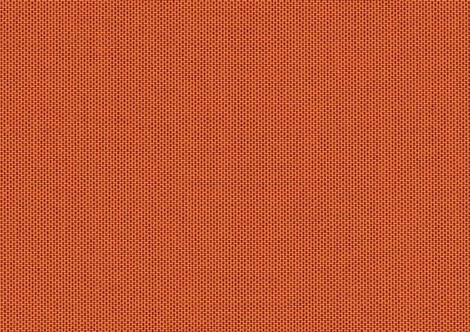 sja_3969_137_pumpkin_zoom_310921