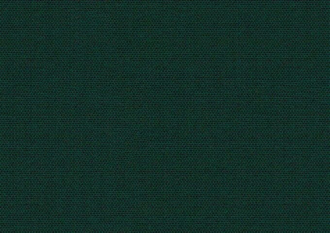 sja_3999_137_solids_calathea_zoom_349667